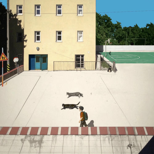 eAeon – Half Day – Single