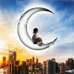Cover of CAMMINARE SULLA LUNA