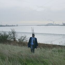 Cover of The Stranger