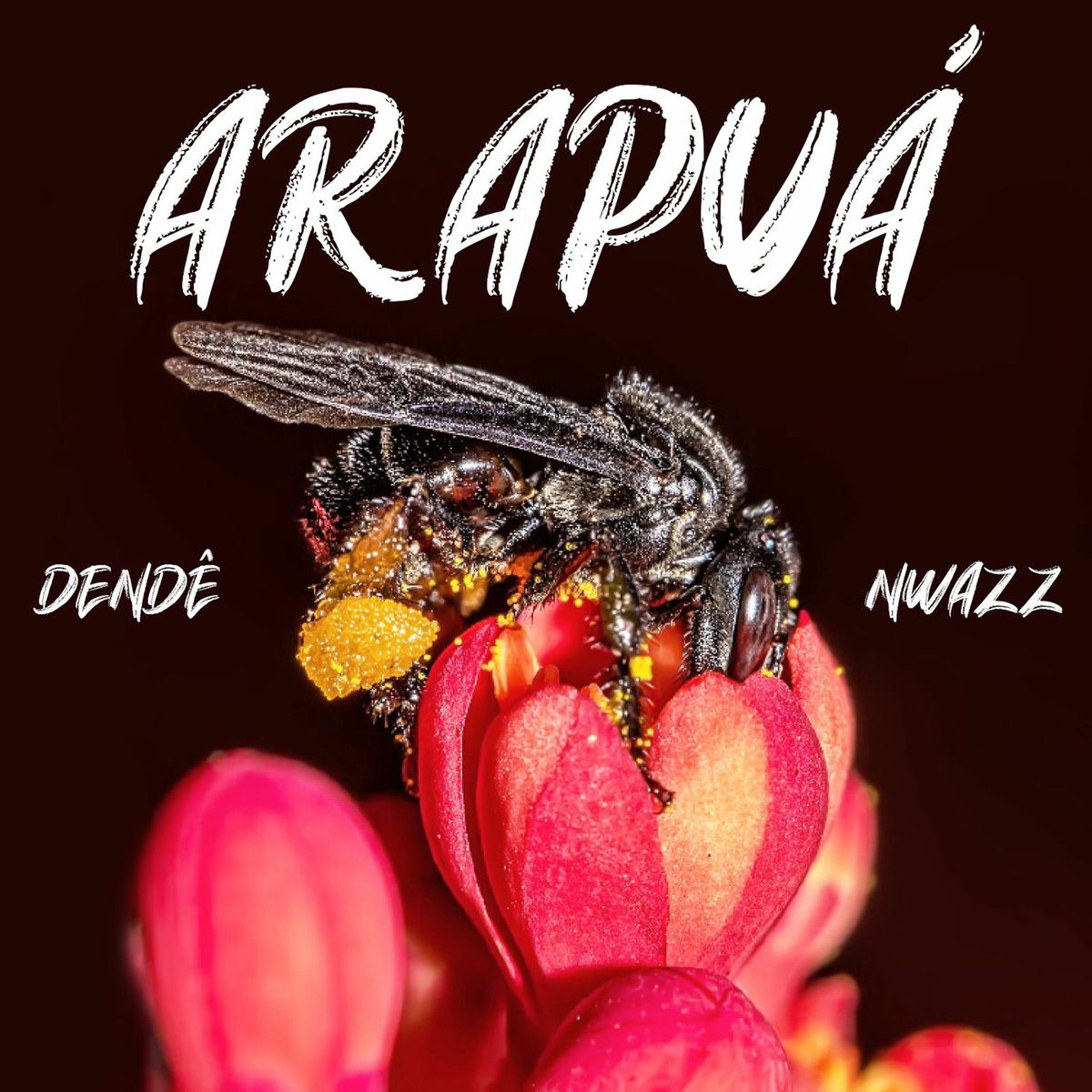 Album cover of Arapuá