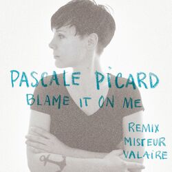 Blame It On Me (Remix Misteur Valaire)