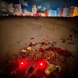 Cover of Destino