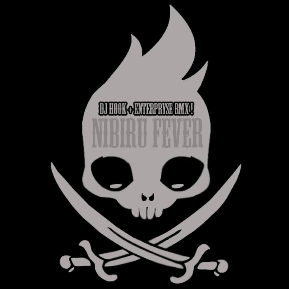 Picture of DJ Hook - Nibiru Fever