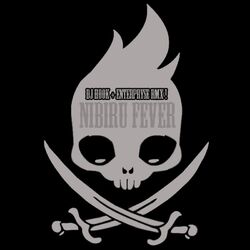 Cover of DJ Hook - Nibiru Fever