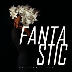 Cover of Fantastic