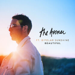 Cover of Beautiful