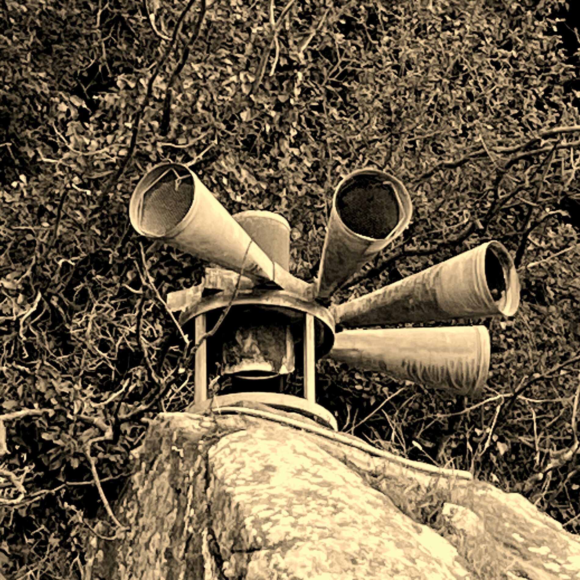 Album cover of Release No. 2 [e7b06e3e]