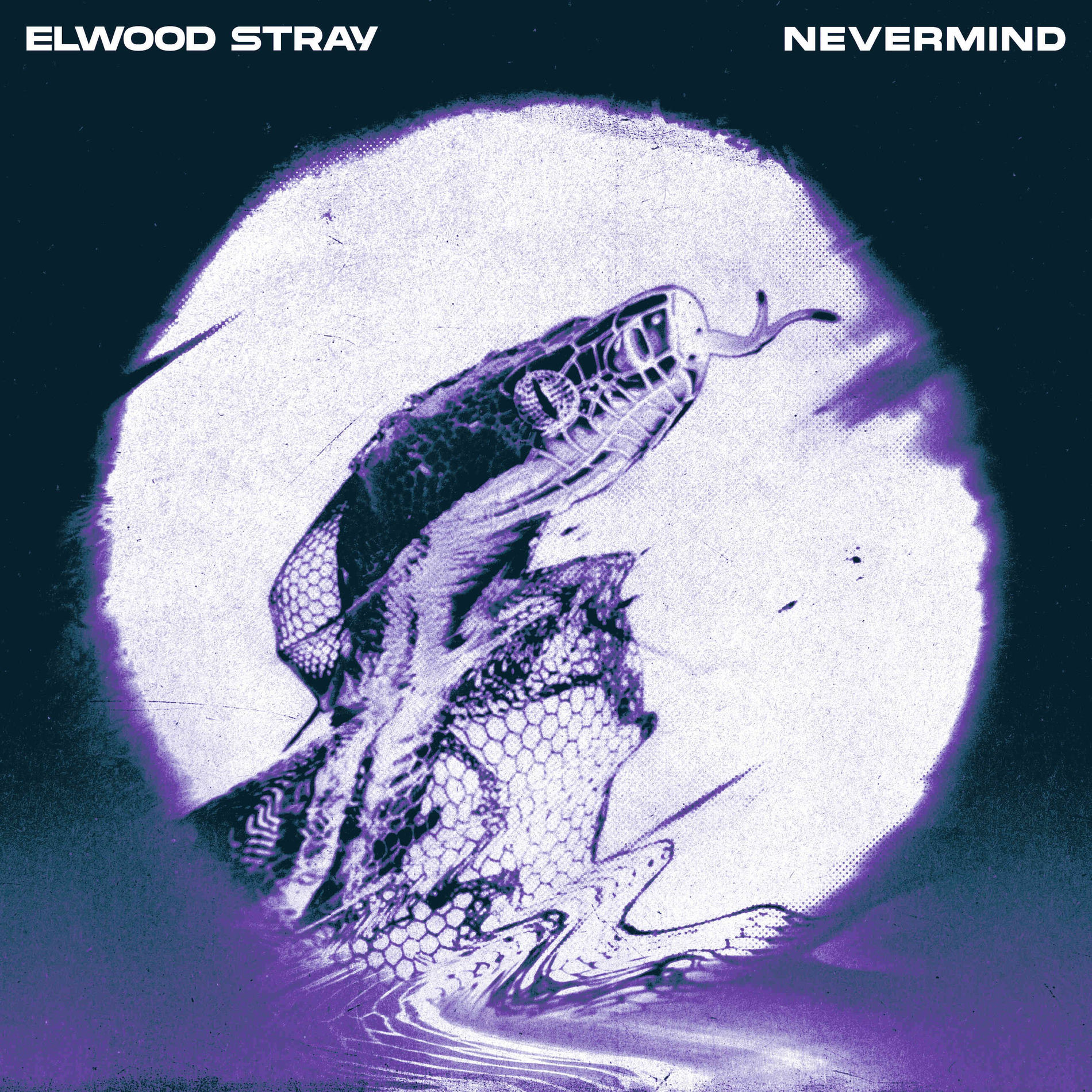 Album cover of Nevermind