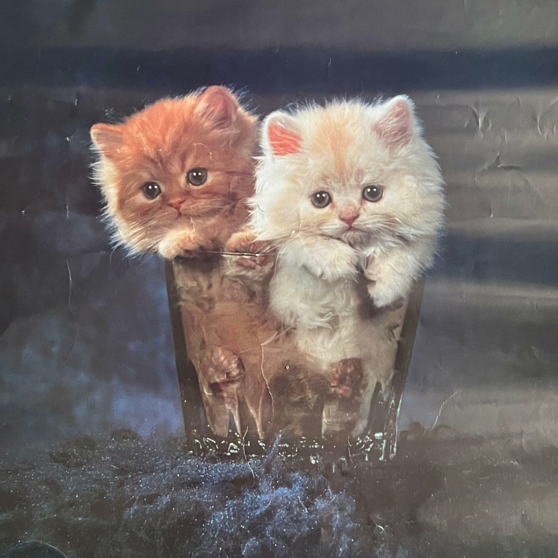 Album cover of ecstasy