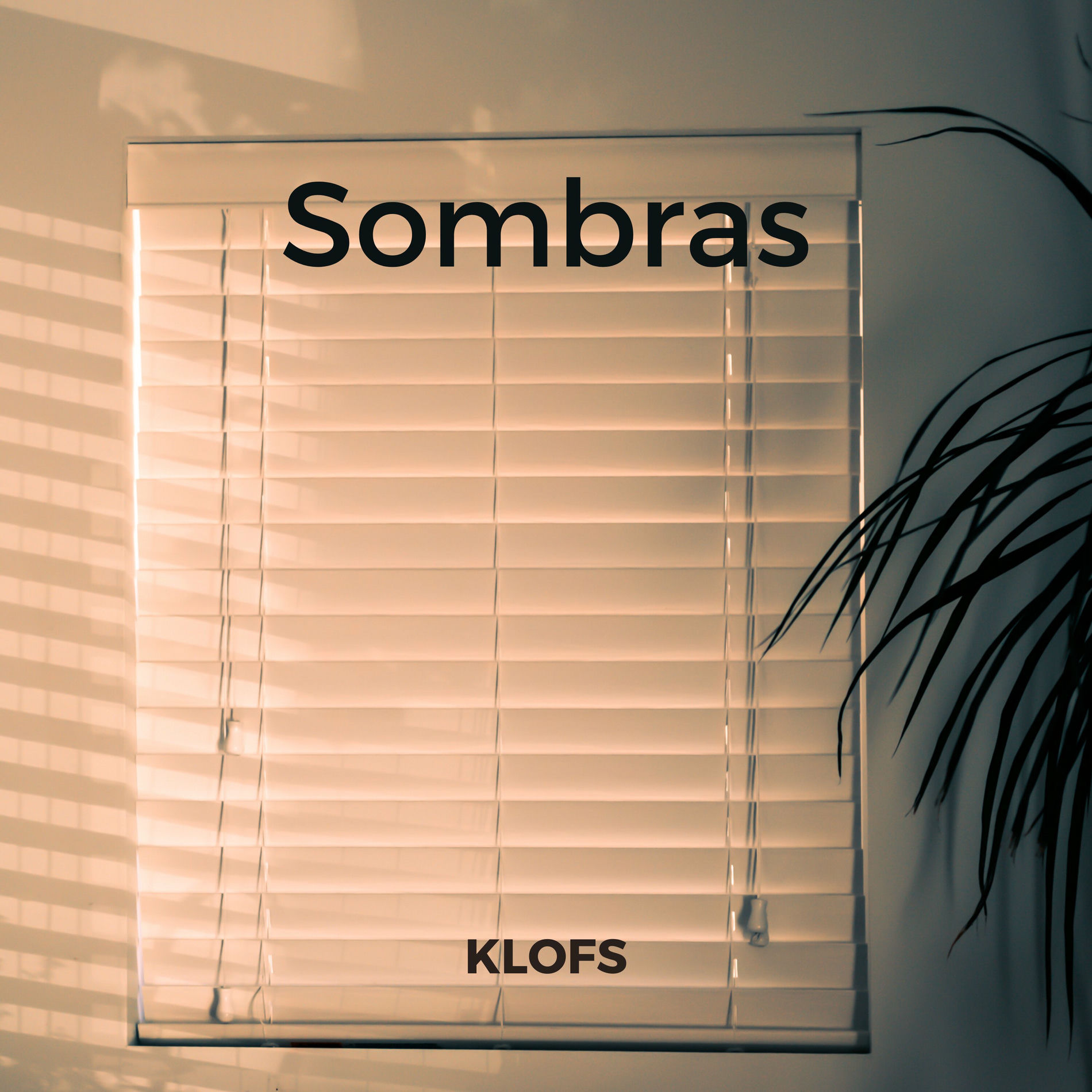 Album cover of Sombras