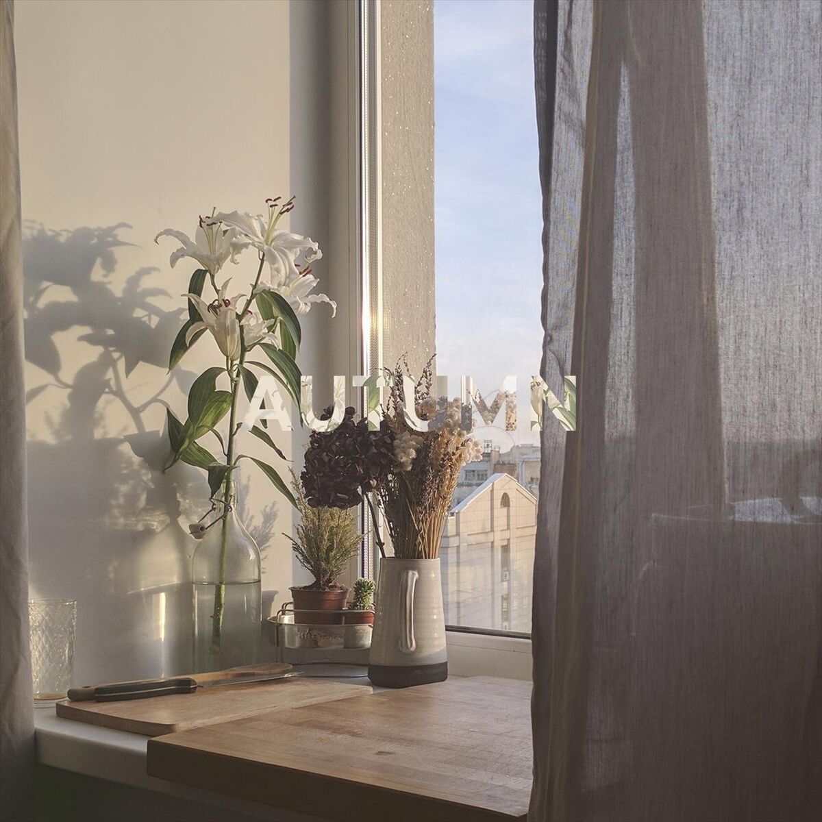Album cover of Autumn