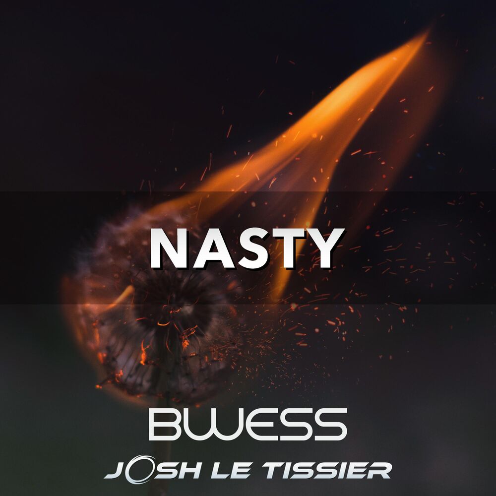 Picture of Nasty