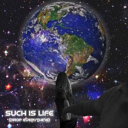 Cover of Such Is Life (Drop Everything)
