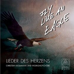 Cover of Fly Like an Eagle