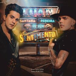Cover of EU SOU SENTIMENTO