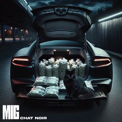 Cover of Chat Noir