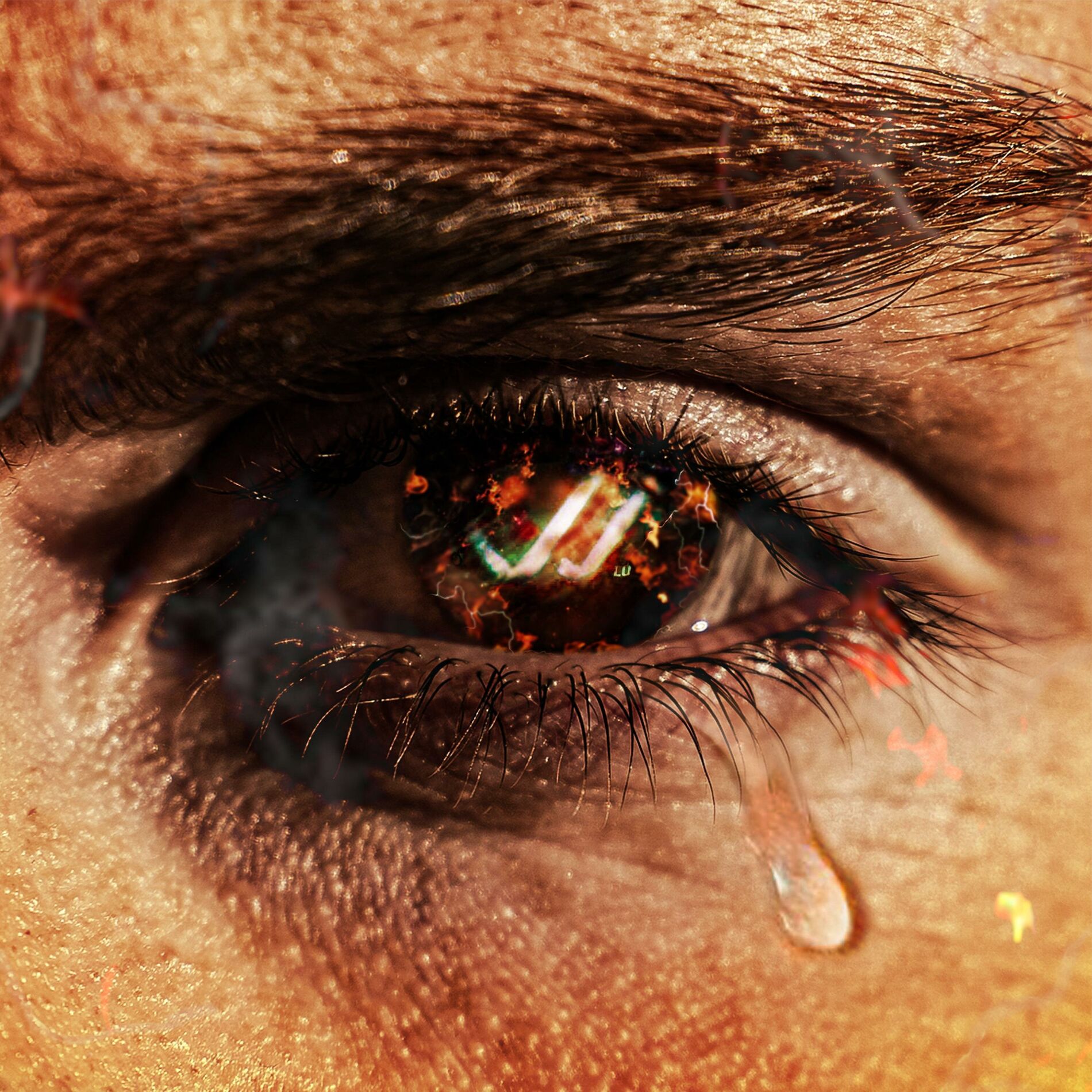 Album cover of LU