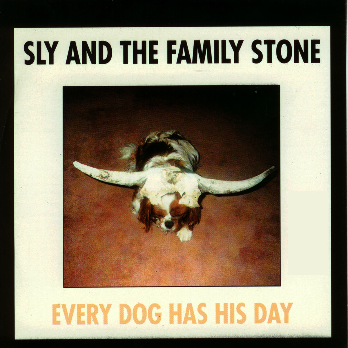 Album cover of Every Dog Has His Day