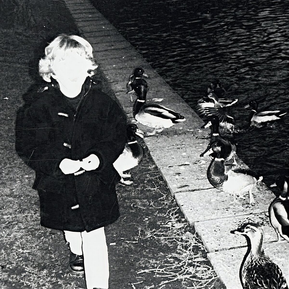 Album cover of Peter und der Wolf