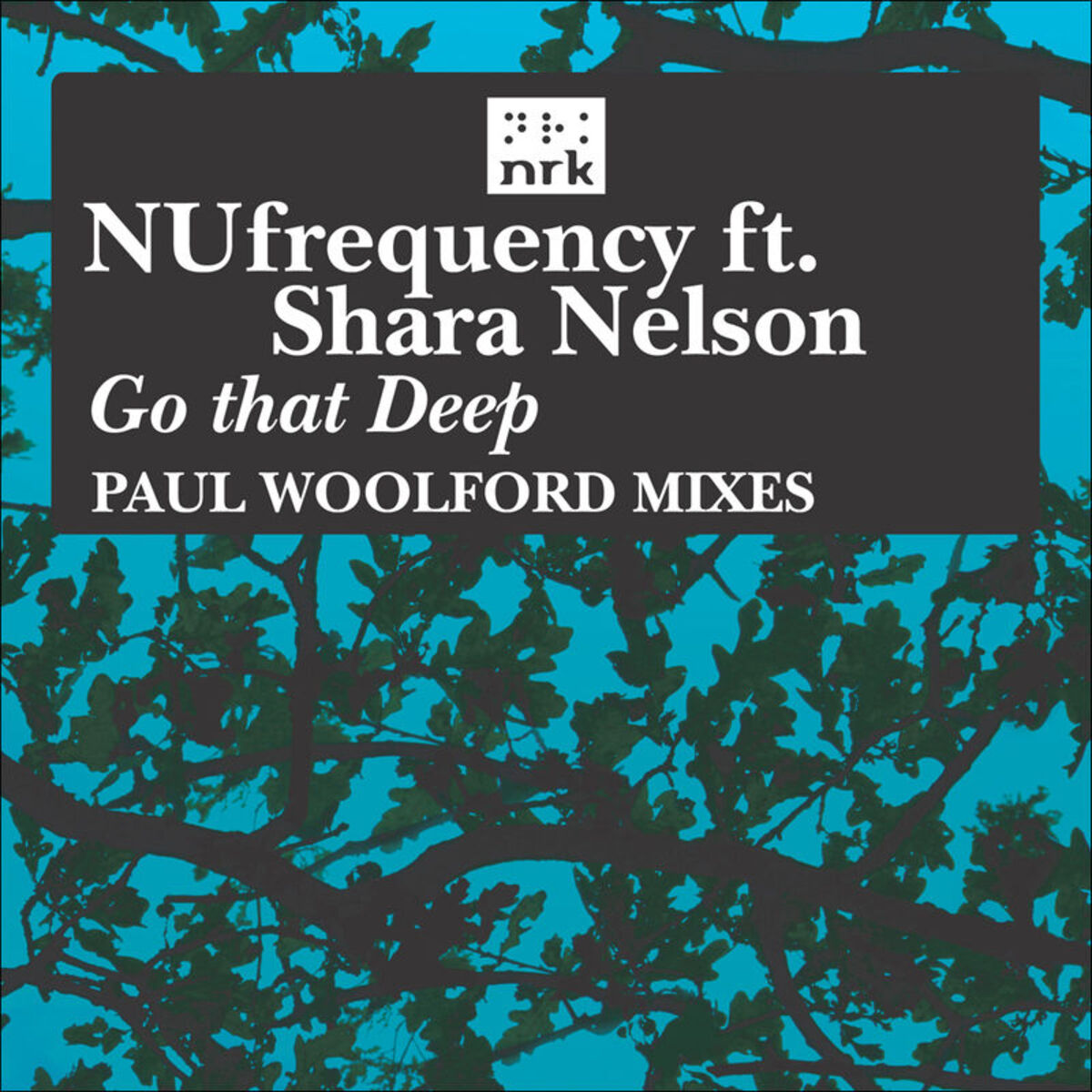 Album cover of Go That Deep (Paul Woolford Remixes)