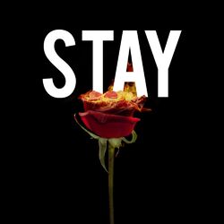 Cover of Stay