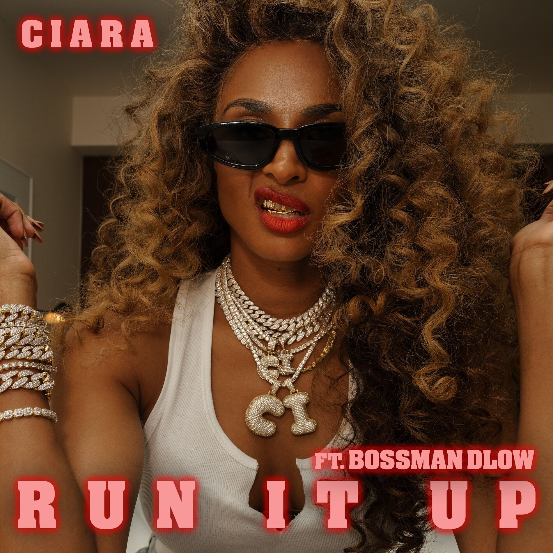 Album cover of Run It Up (feat. BossMan Dlow)
