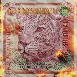 Cover of Ngo'shisimali