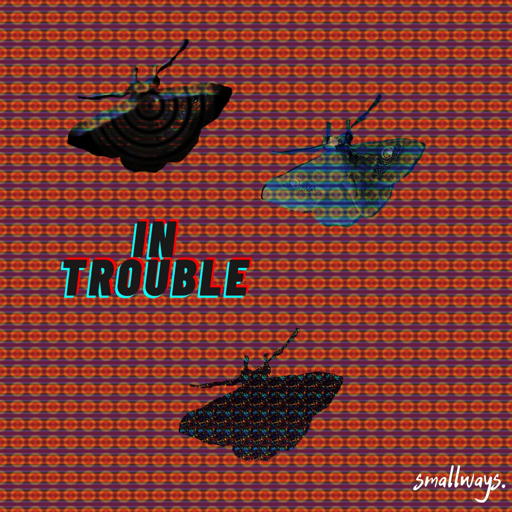 Album artwork for IN TROUBLE by smallways.