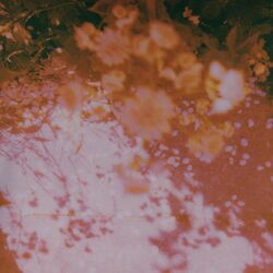 Cover of Nosebleeds