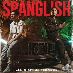 Cover of Spanglish