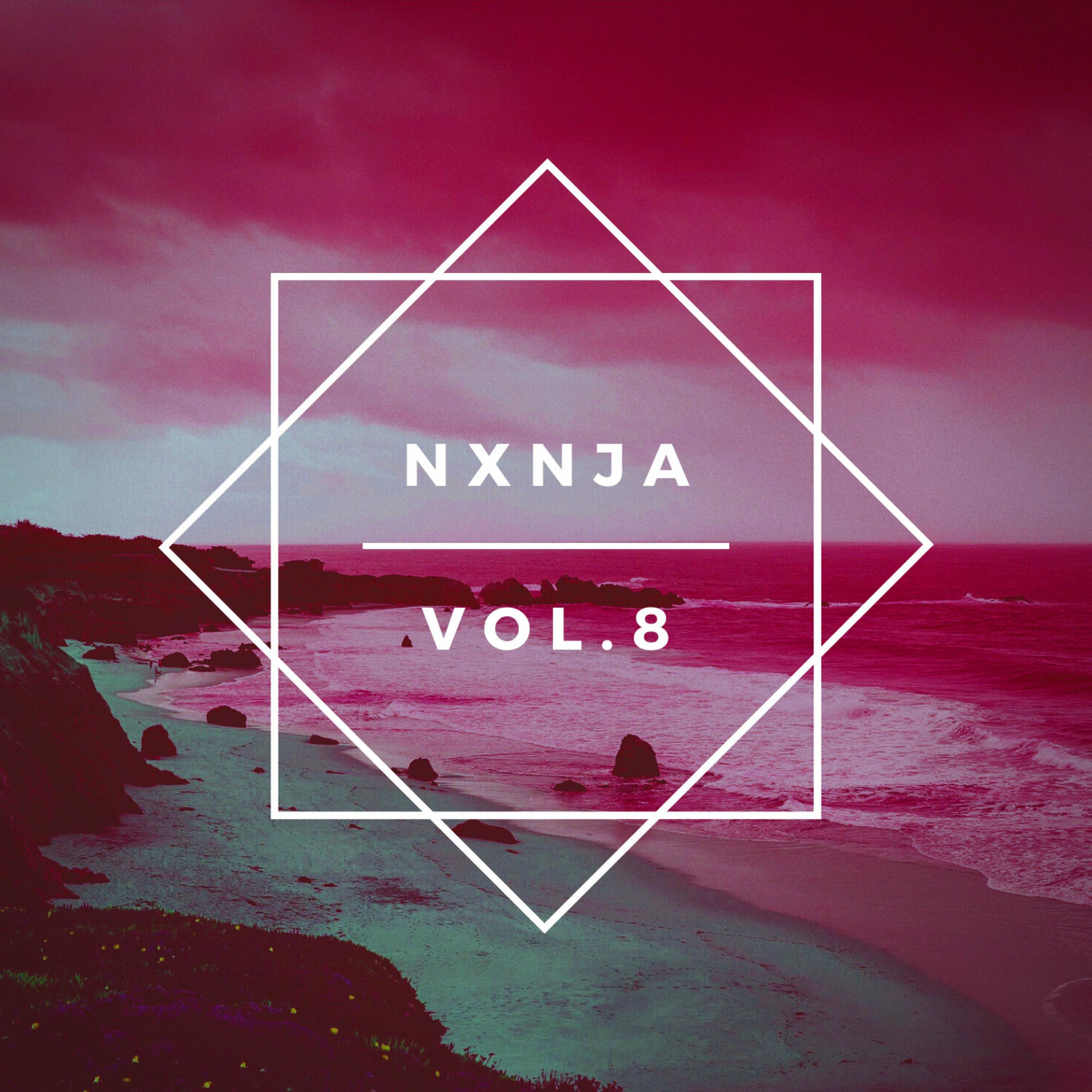 Album cover of Nxnja, Vol. 8
