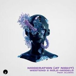 Cover of Moderation (At Night)