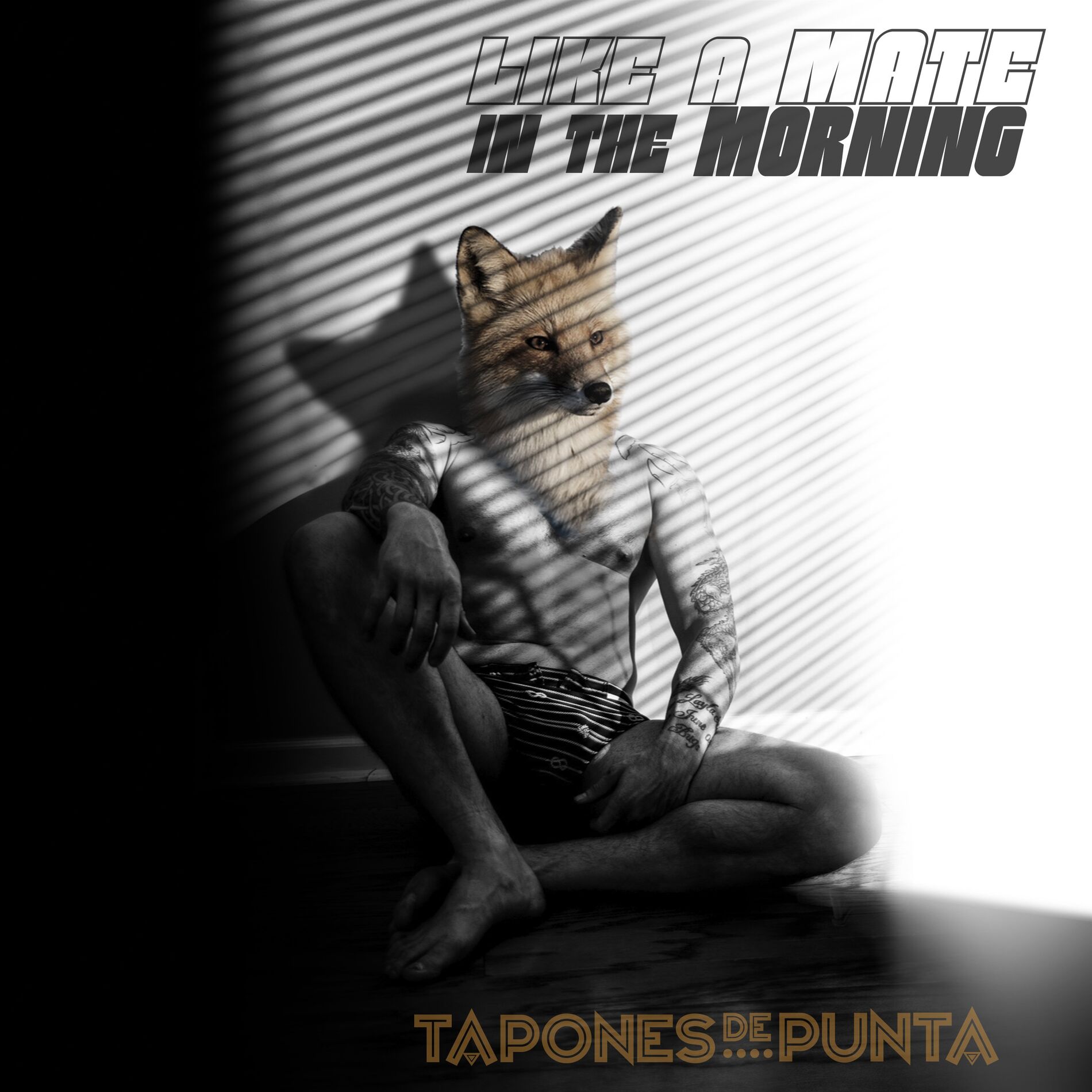 Album cover of Like a mate in the morning