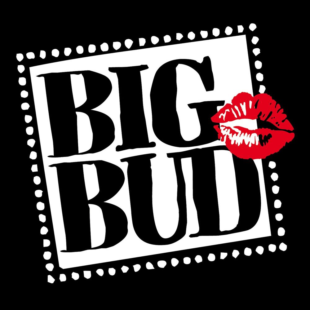 Picture of Big Budvent