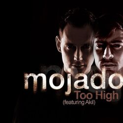Cover of Too High