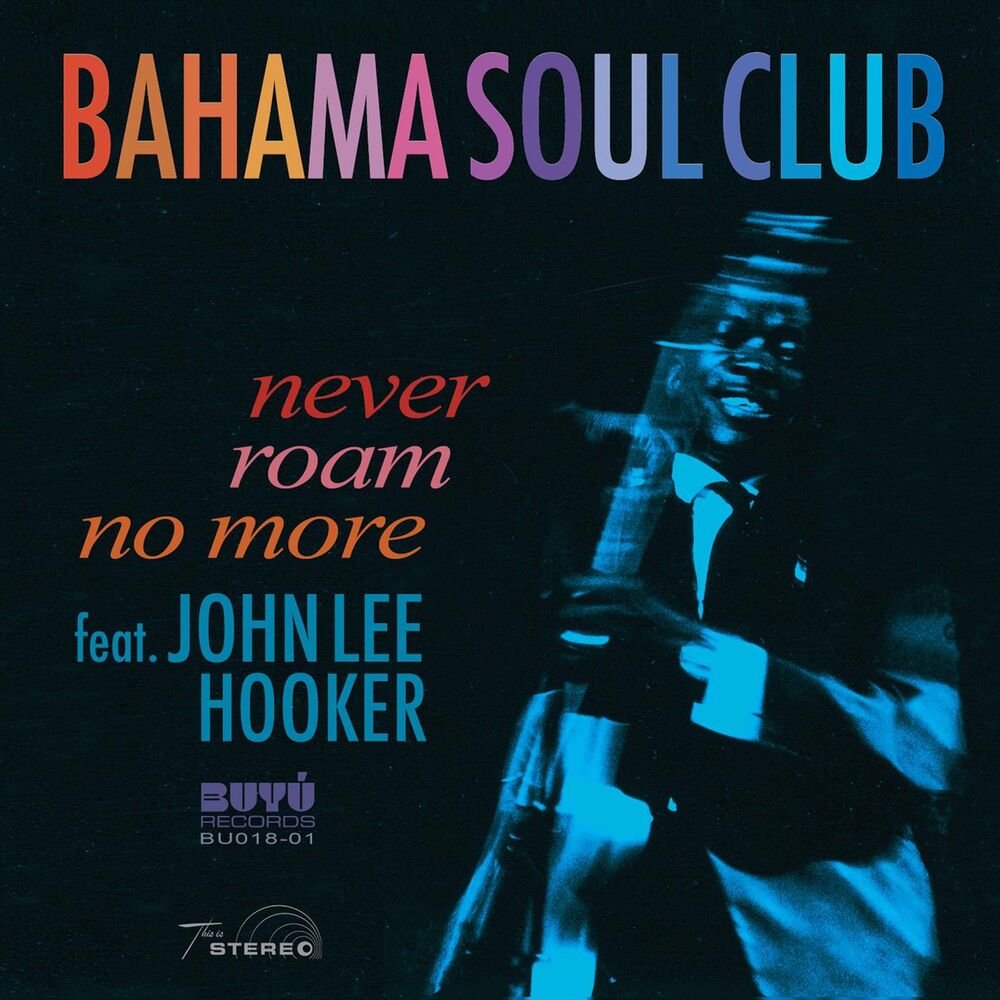 Picture of Never Roam No More (feat. John Lee Hooker)