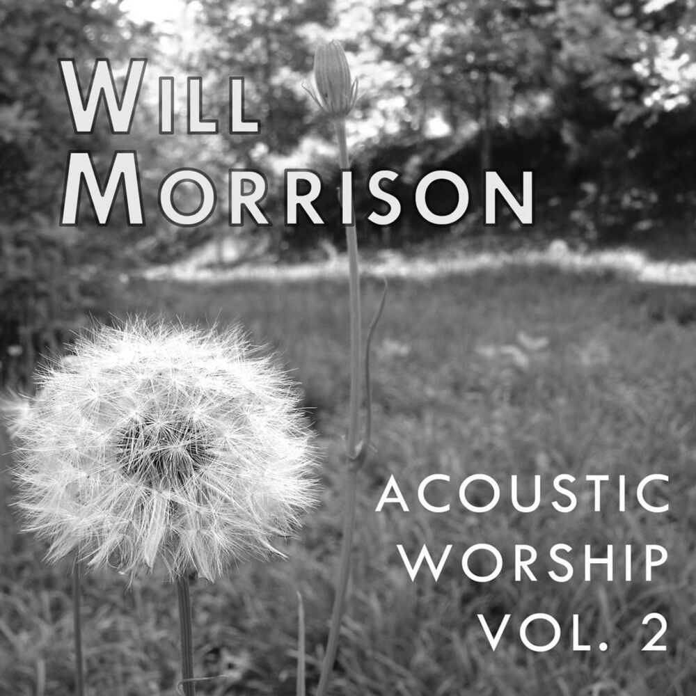 Picture of Acoustic Worship, Vol. 2