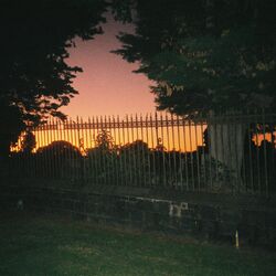 Cover of Backbackback
