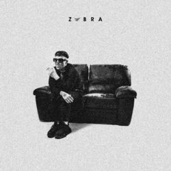 Cover of Zebra