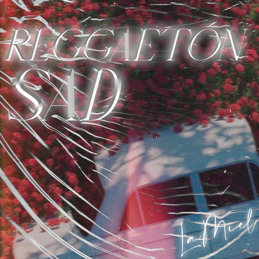 Picture of REGGAETÓN SAD