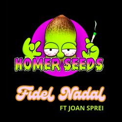 Cover of Homer Seeds