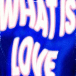 Cover of What Is Love (Club Mix)
