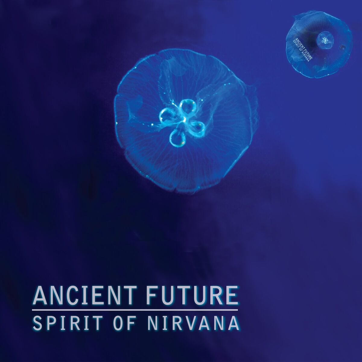 Album cover of Spirit of Nirvana (Extended Intro & Radio Edit)
