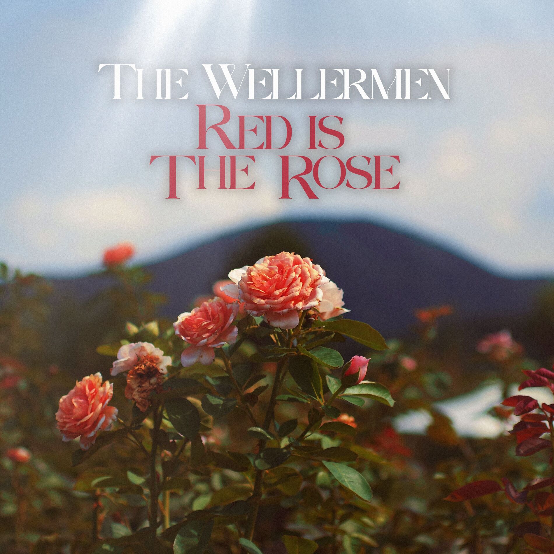Album cover of Red Is The Rose