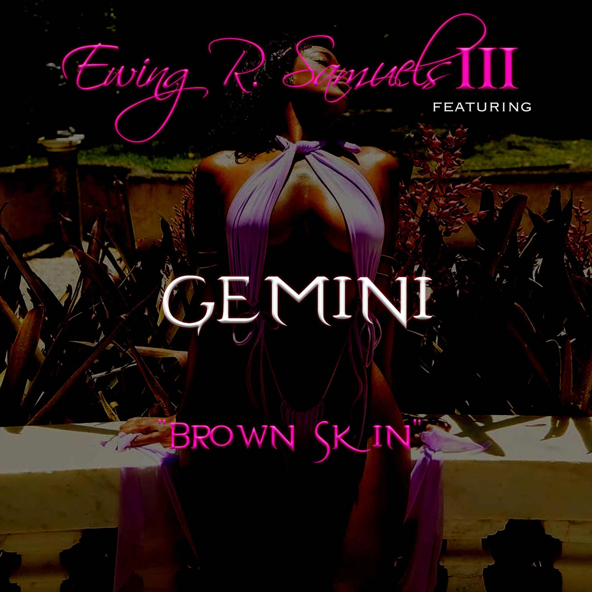 Album cover of Brown Skin (feat. Gemini)