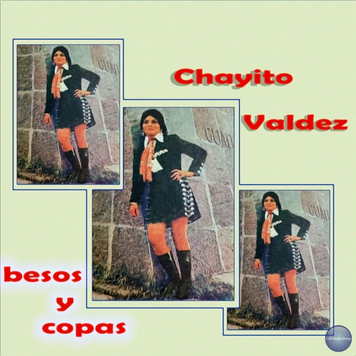 Album cover of Besos y Copas