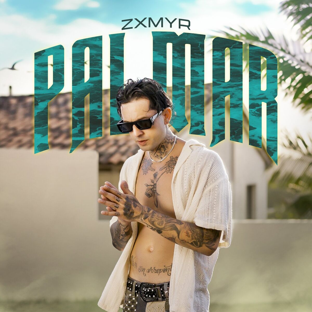 Album cover of Palmar