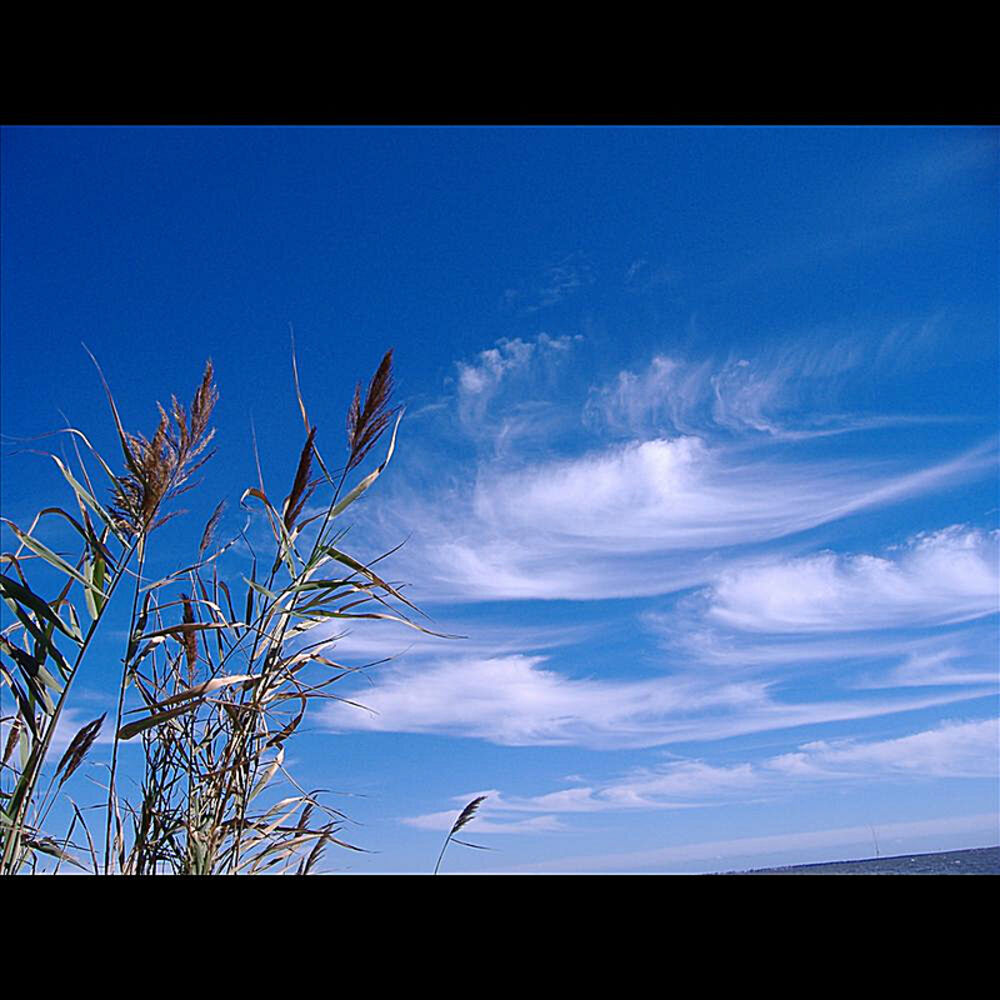 Picture of Ambient Music for Guitar - Single