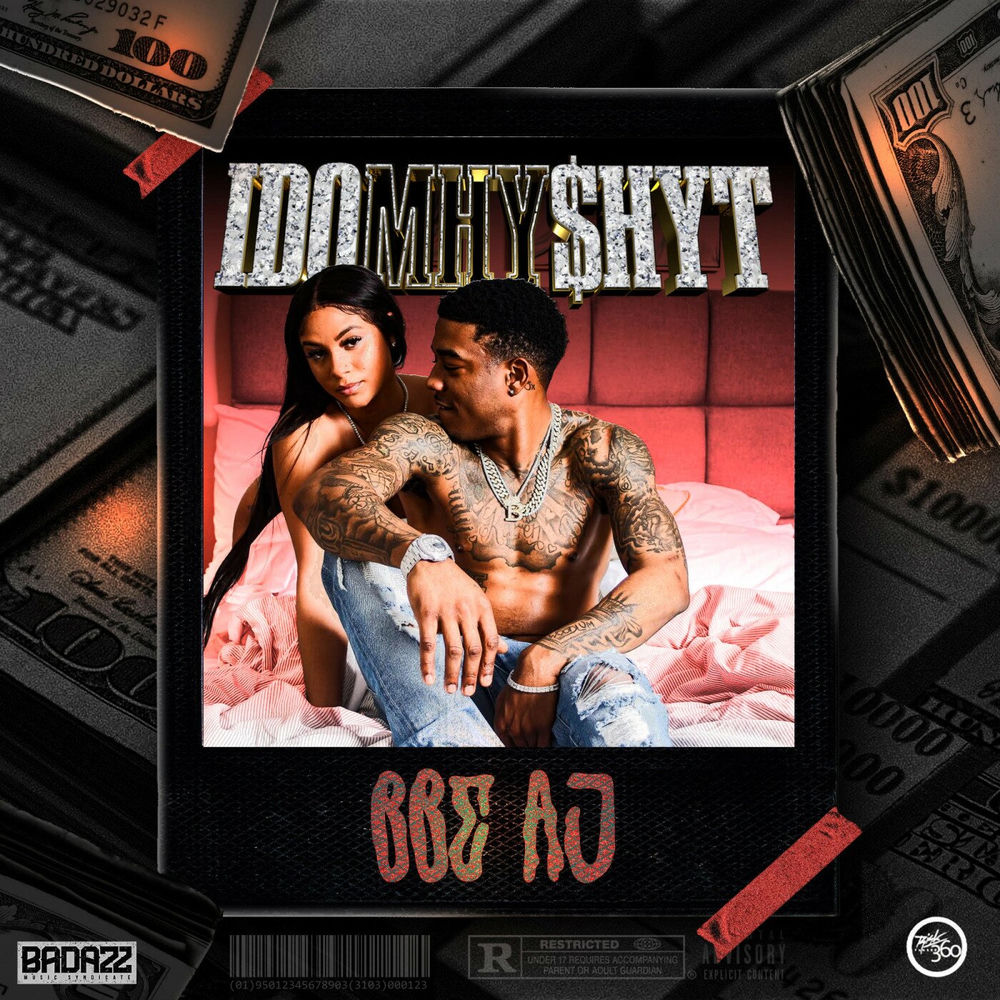 Pochette Idomhy_shyt