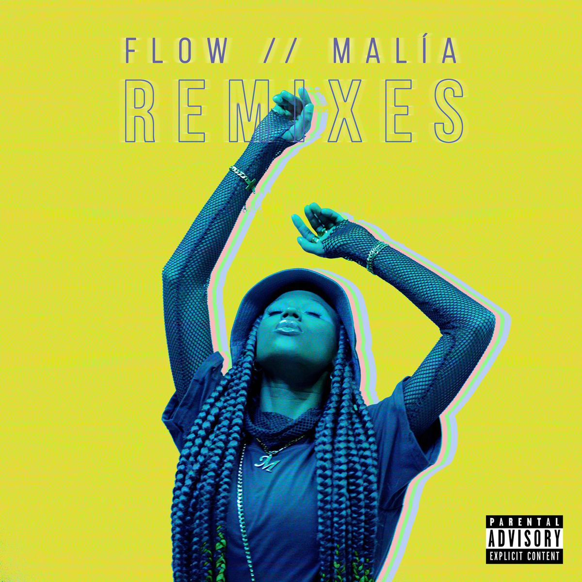 Album cover of FLOW (Remixes)